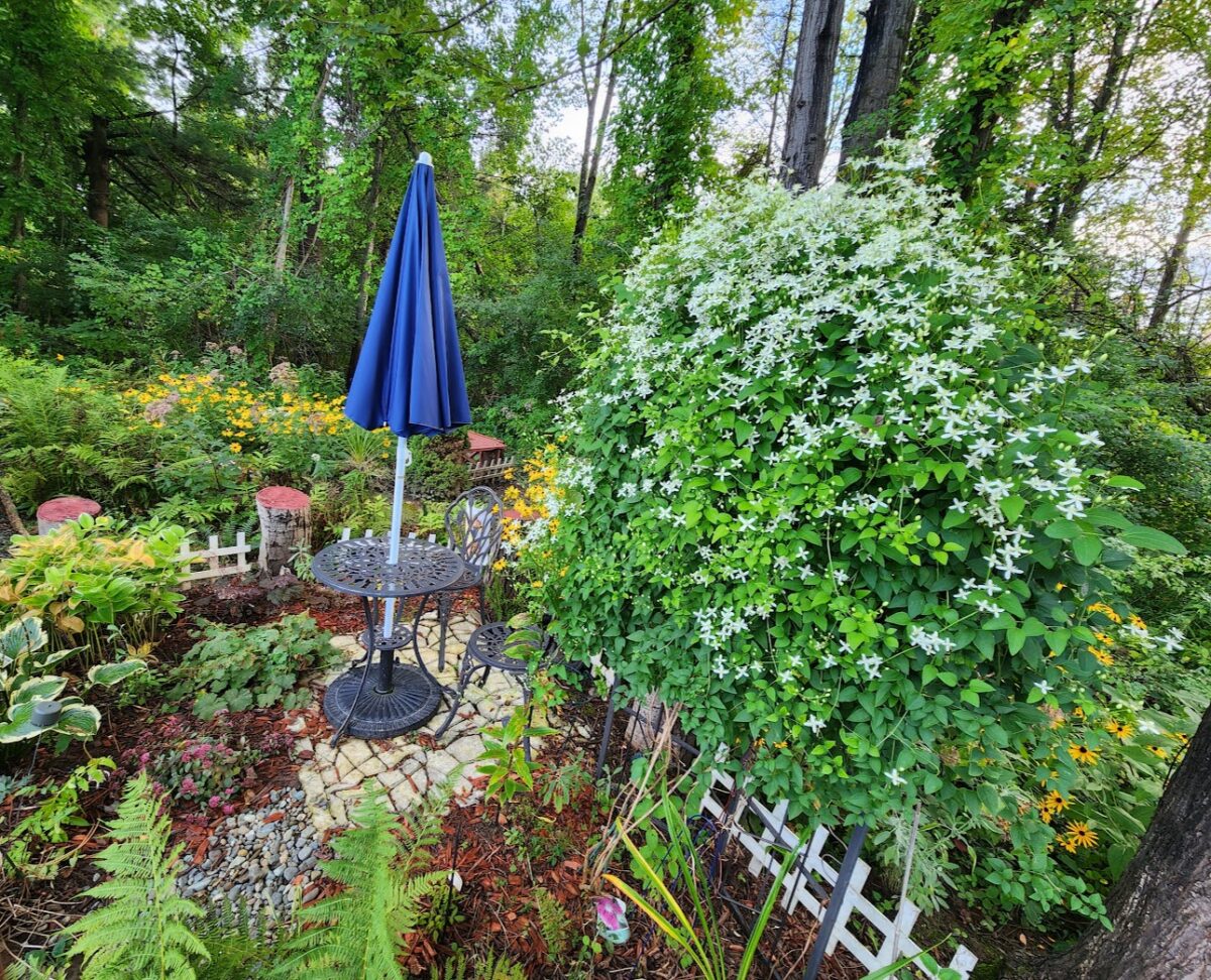 small garden patio surrounded by plants