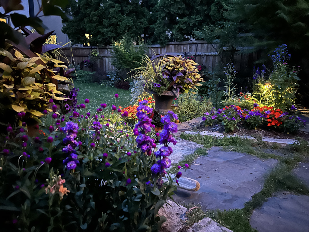 another angle of the garden at night with more purple flowers and container plantings