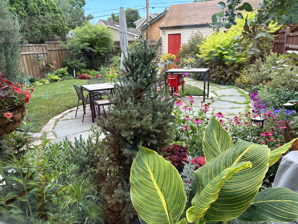 another view of the patio with diverse foliage plants in the foreground