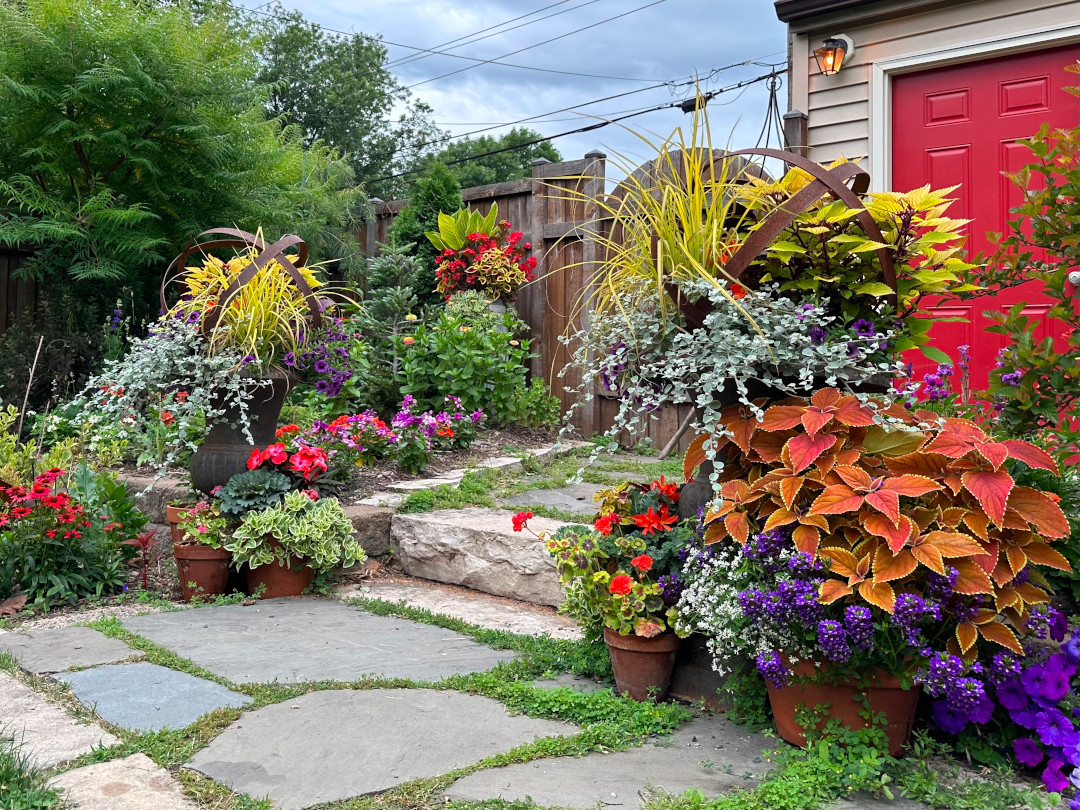 grouping of container plants with colorful foliage and bright flowers