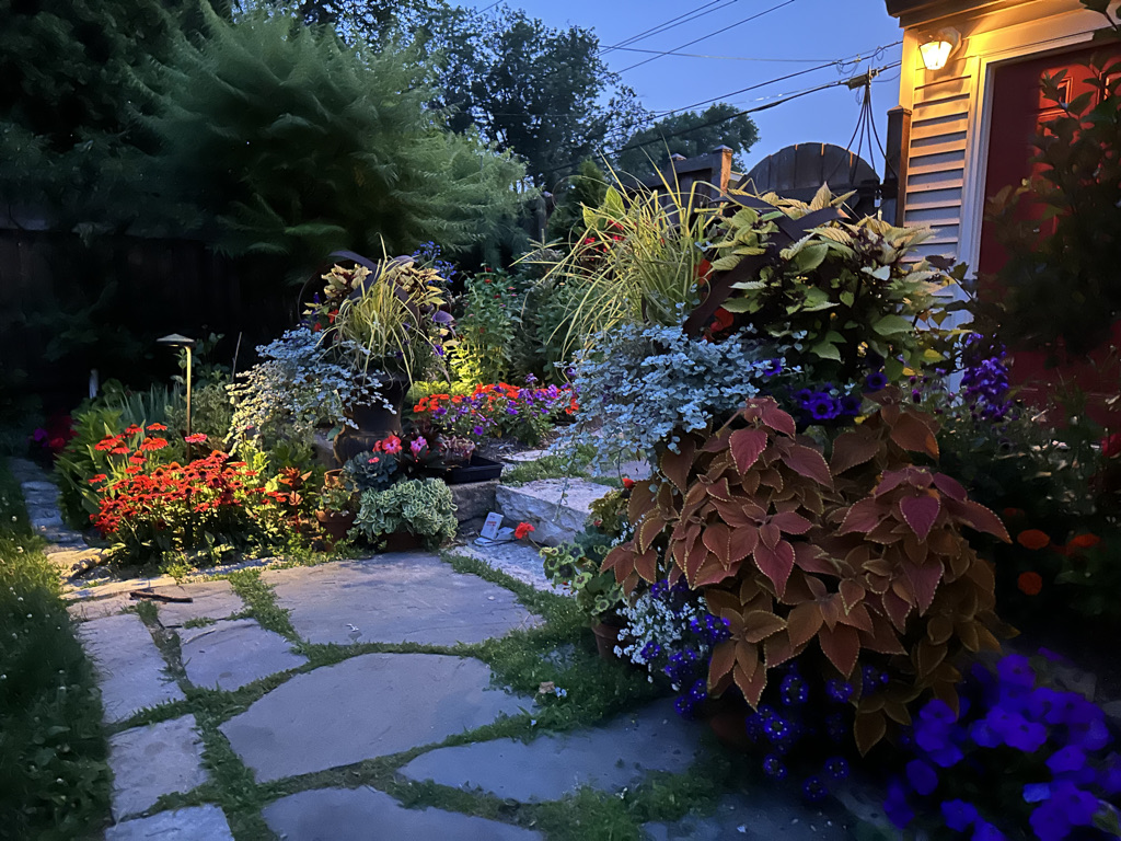 same grouping of container plantings at night