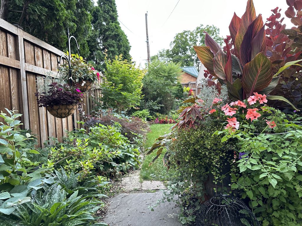 large container planting and small hanging baskets with pink plants