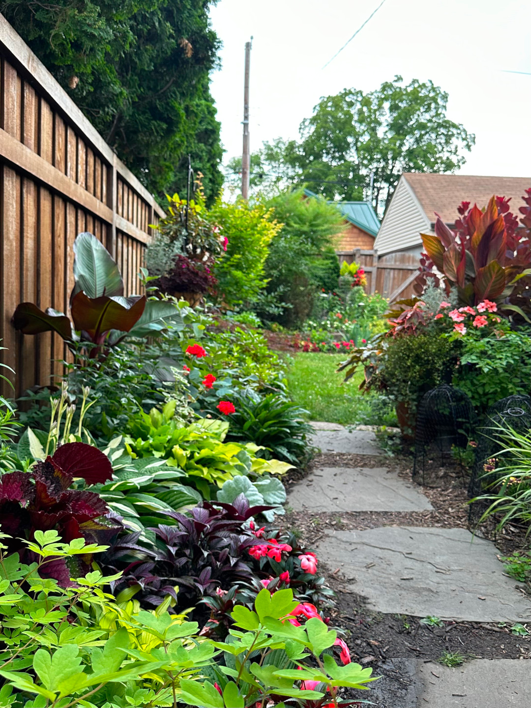 close up of plants growing along a small garden path