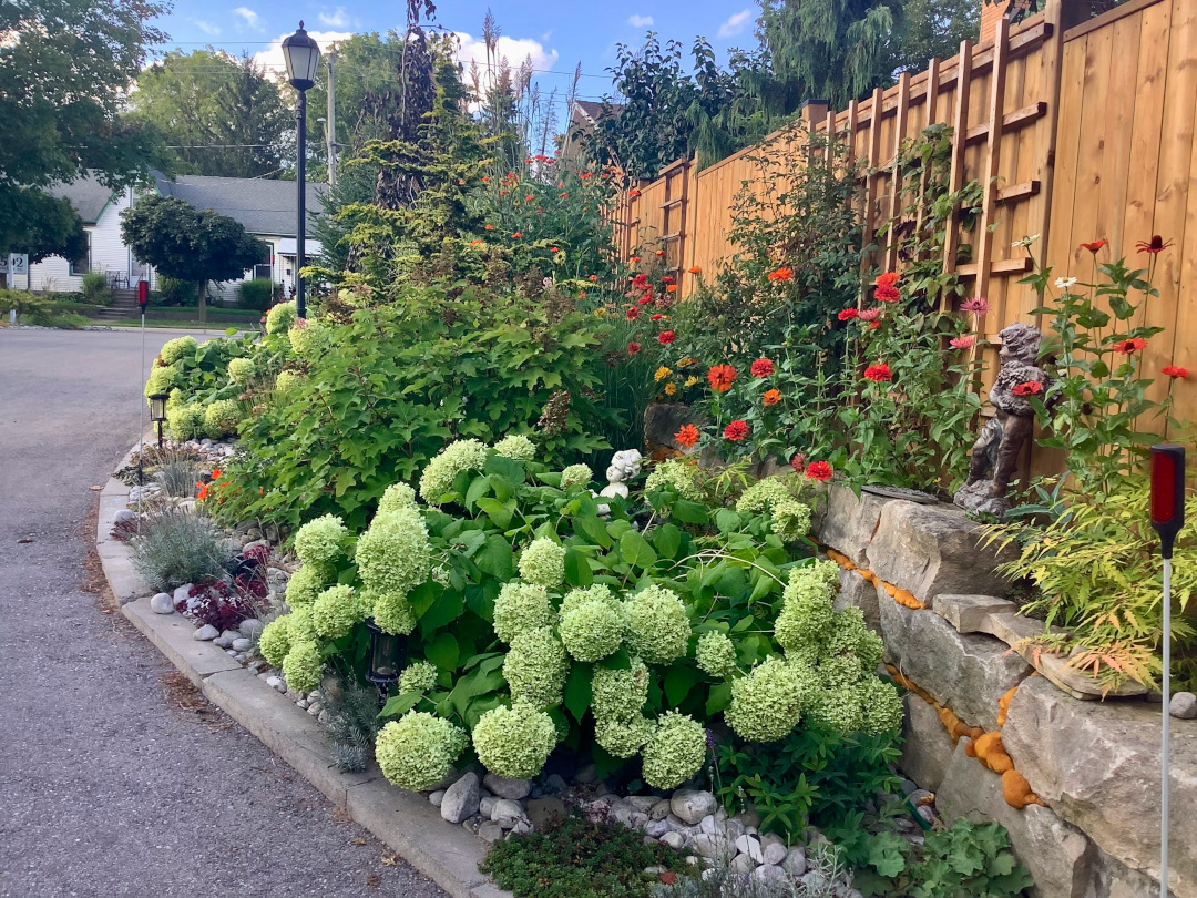 close up of garden bed with rock wall in front of a fence