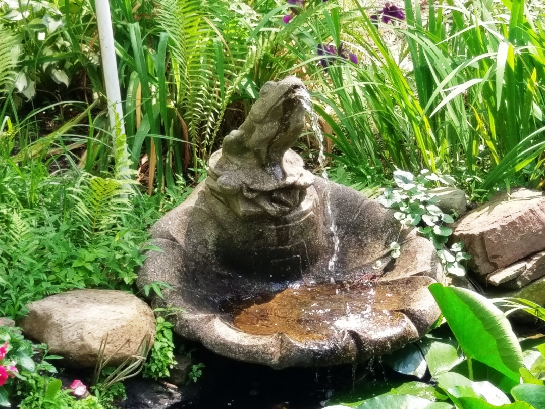 fountain birdbath surrounded by green grass and foliage