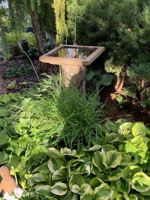 various foliage plants around a square birdbath