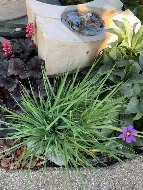 small water fountain with ornamental grass and small flowers around