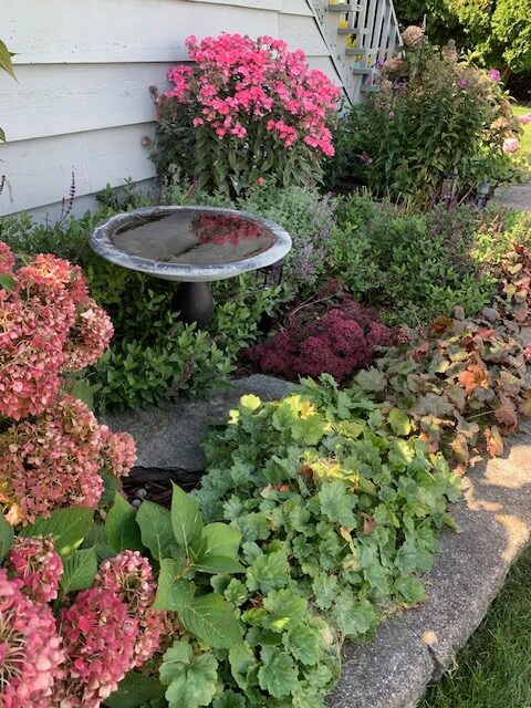 birdbath and pink flowers in a garden bed