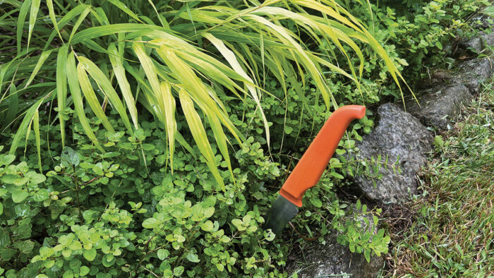 serrated kitchen knife stuck into a garden bed