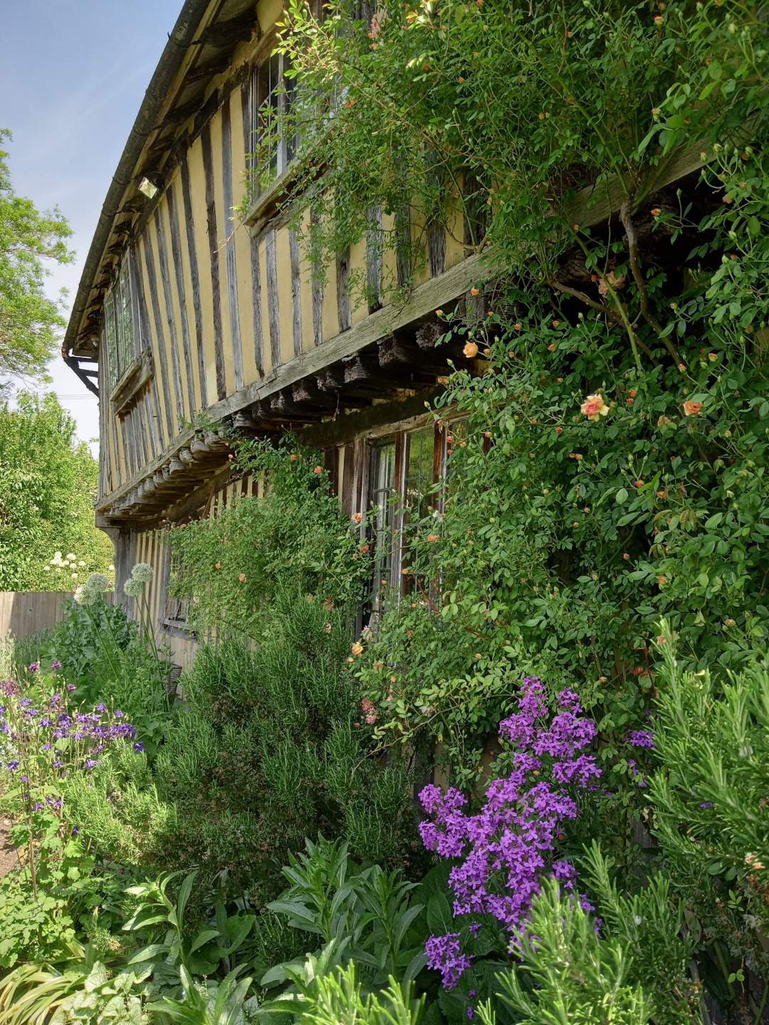 peach and purple flowers growing around a old english house