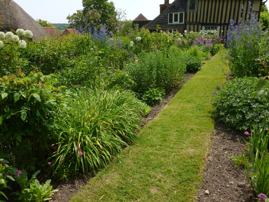 perfectly edged grass path in the garden