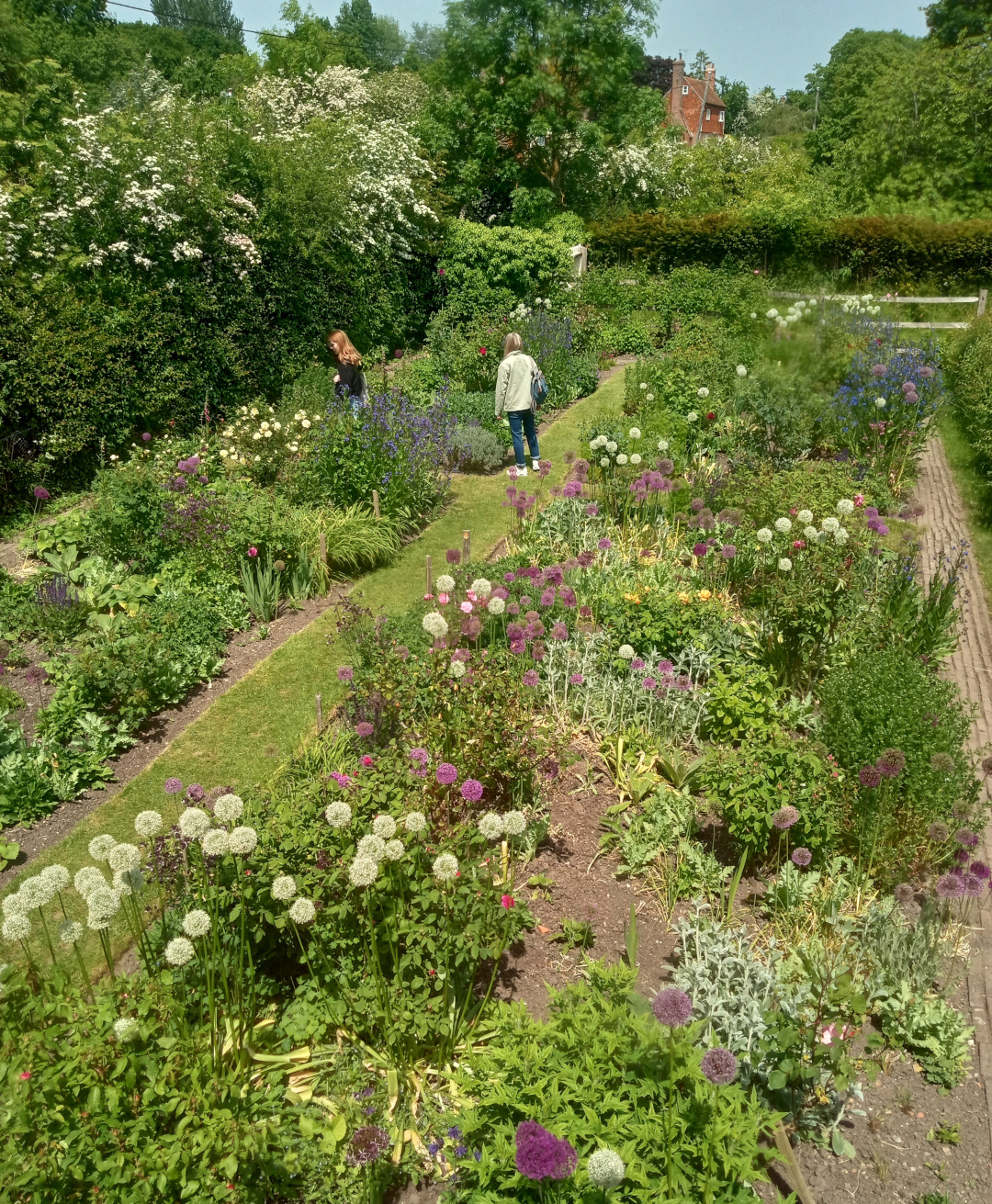 wide view of cottage garden with lots of flowers and grass paths