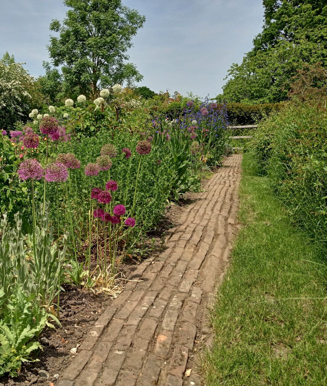 brick path cutting through garden