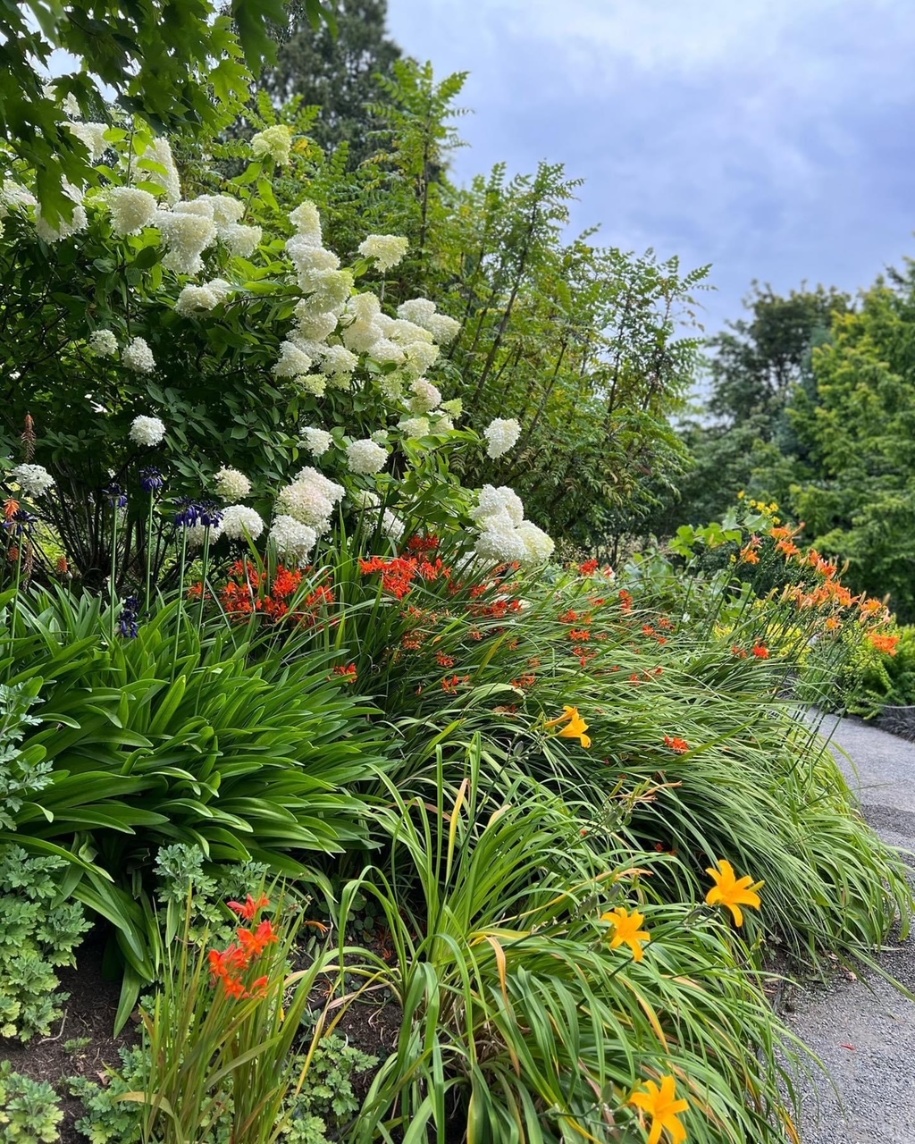 close up of garden bed with white hydrangea and red, yellow, and orange flowers