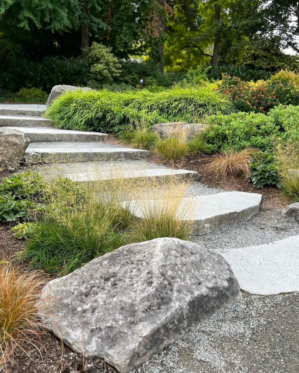 stone steps in the garden surrounded by shrubs and grass