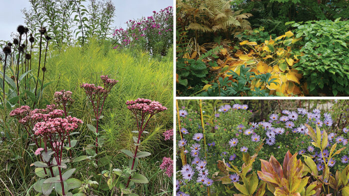 fall plant combinations