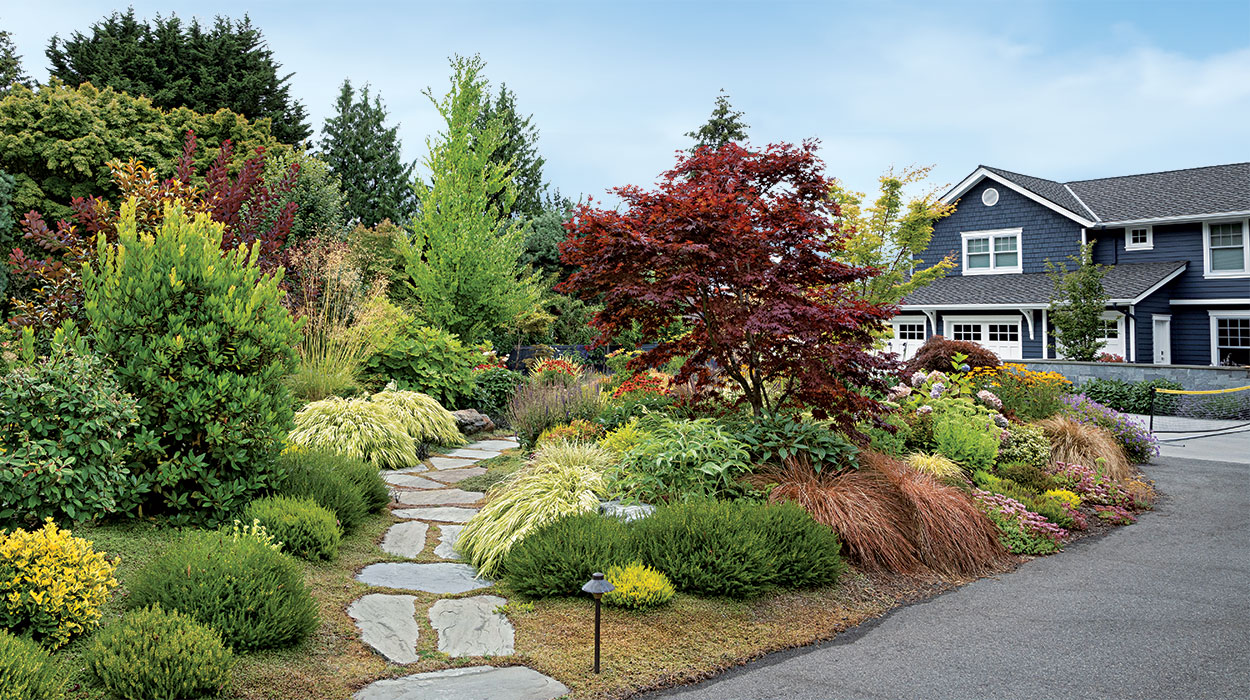 front yard garden 