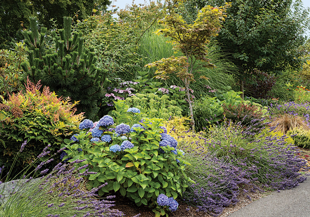 Plants cascade over the edges of the parking area and driveway