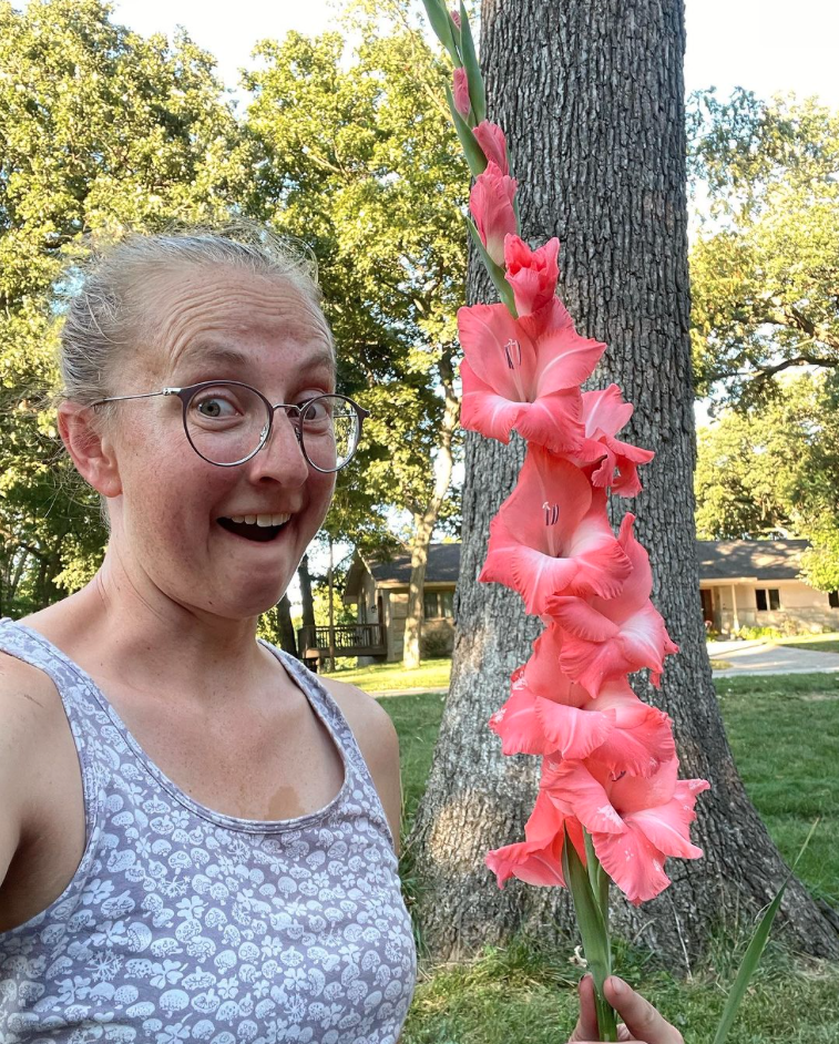 gardener holding large spire of pink Gladiolus