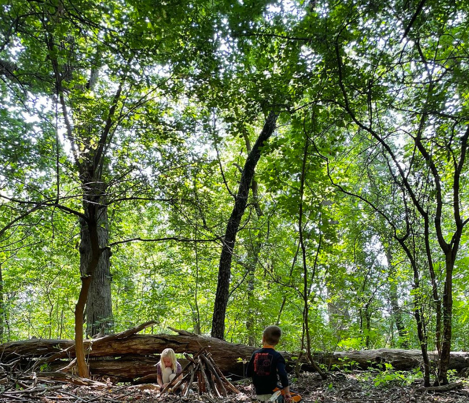 children playing at edge of forest