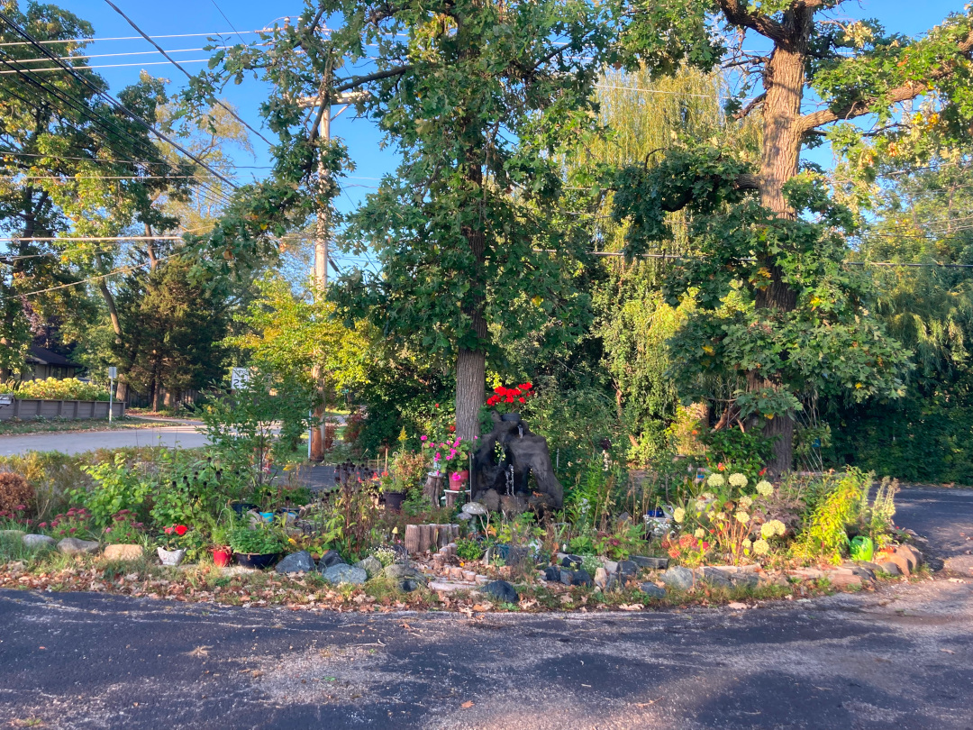 wide view of small garden in the middle of pavement