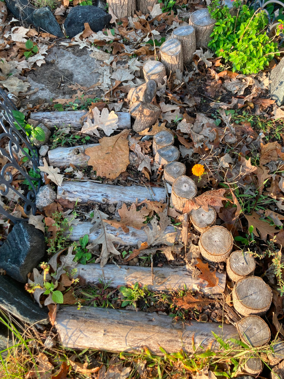 cut branches turned into garden path and edging