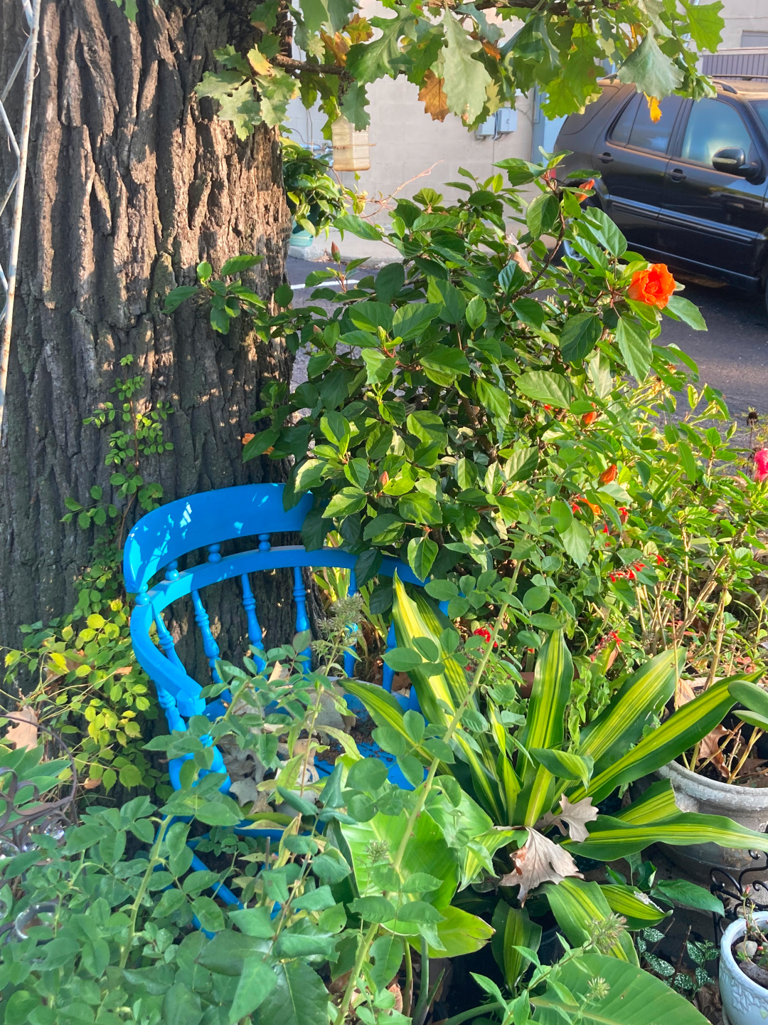 blue chair used as garden art