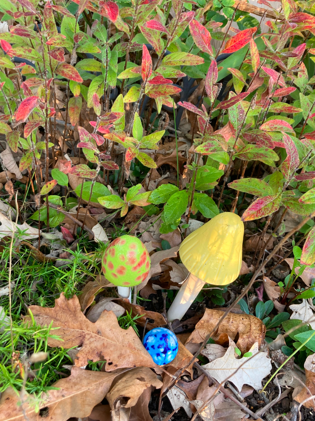 fake mushrooms amongst plants