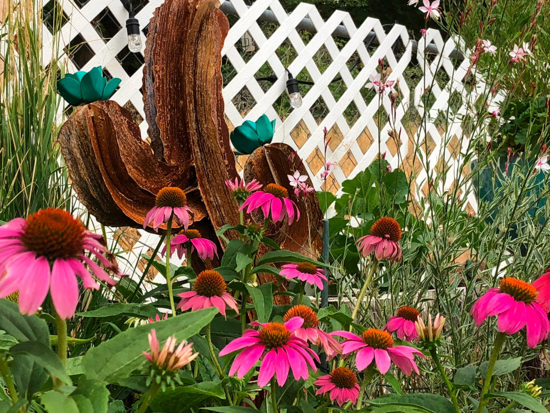 hot pink echinacea in front of a cactus sculpture