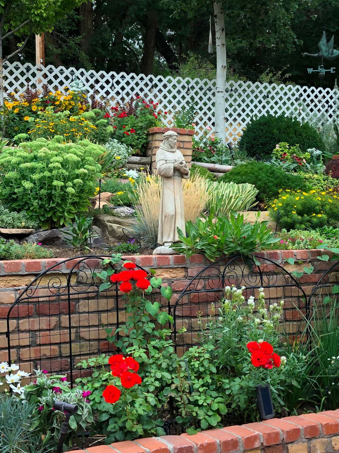 bright red rose in front of tiered garden bed