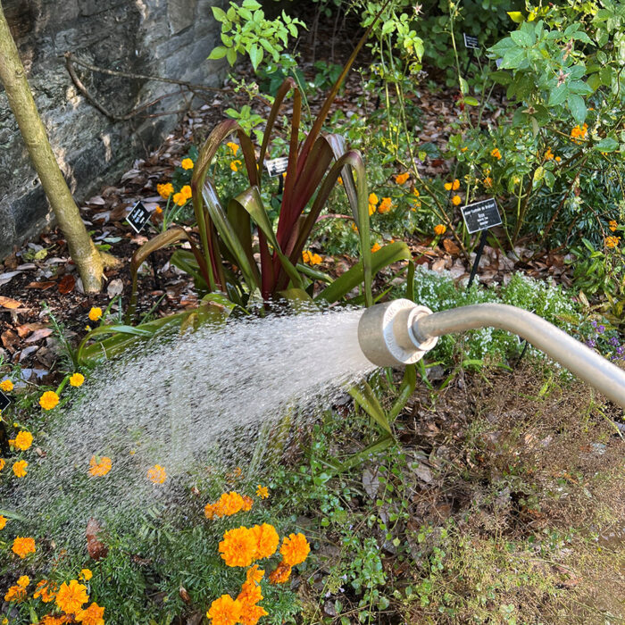 watering techniques