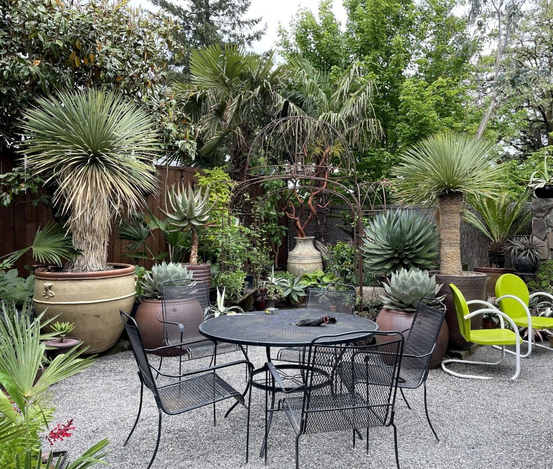 garden patio with potted topical trees and succulents