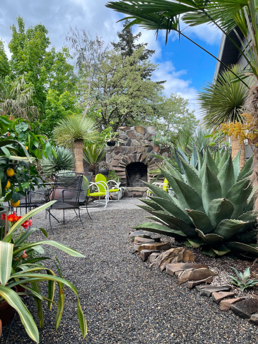 another view of garden patio with lots of tropical plants