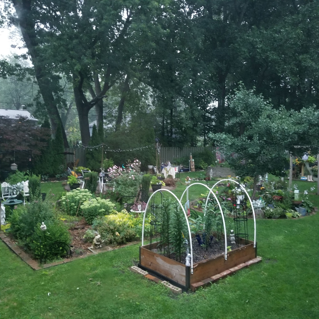 wide view of garden with lots of garden beds in different shapes and sizes