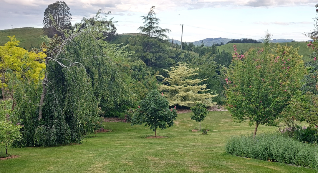 several different trees in the garden