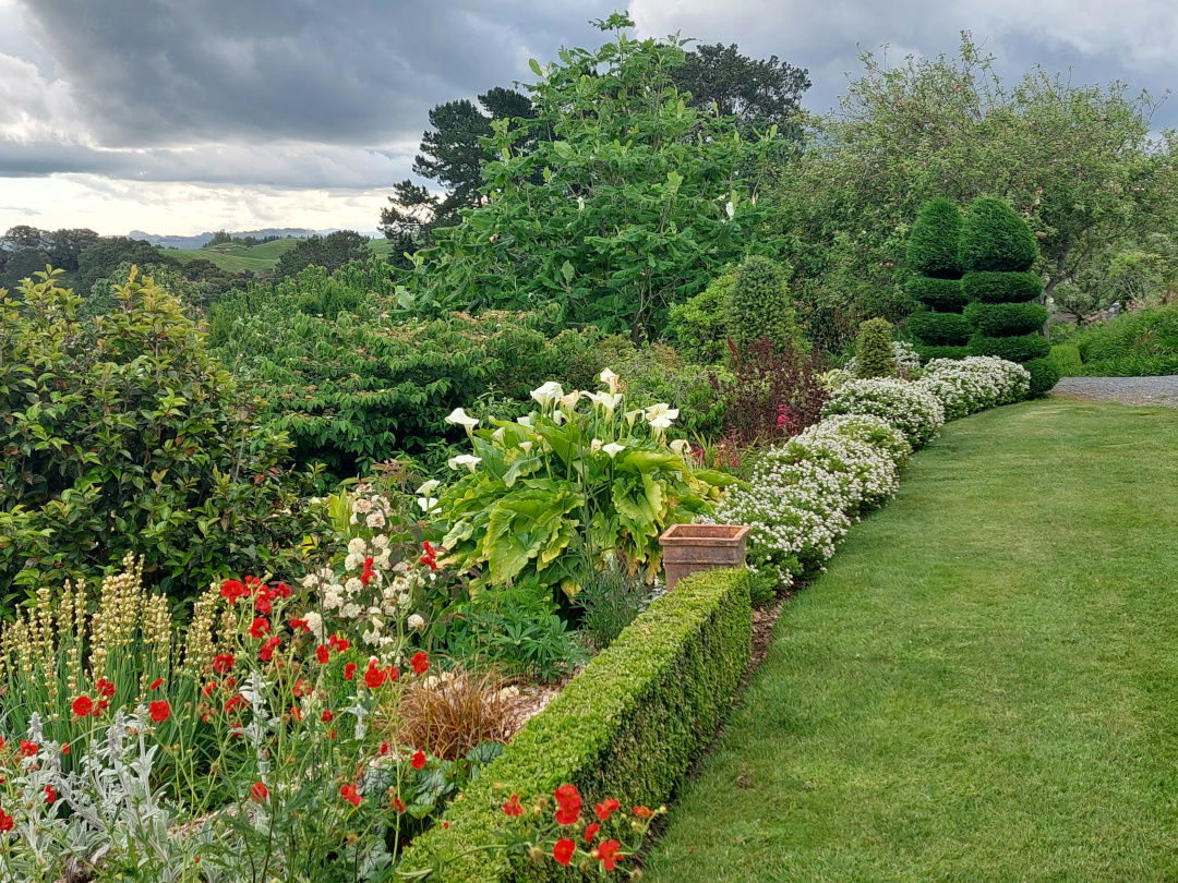 long garden bed with topiaries and lots of flowering plants