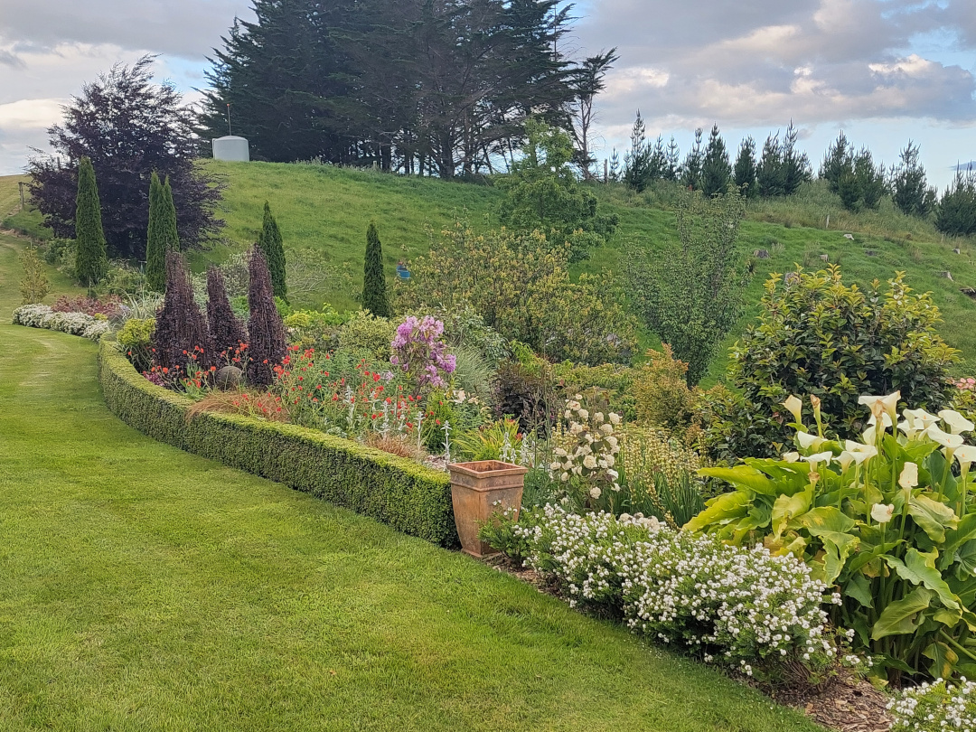 another long garden bed with neat hedging and lots of shrubs