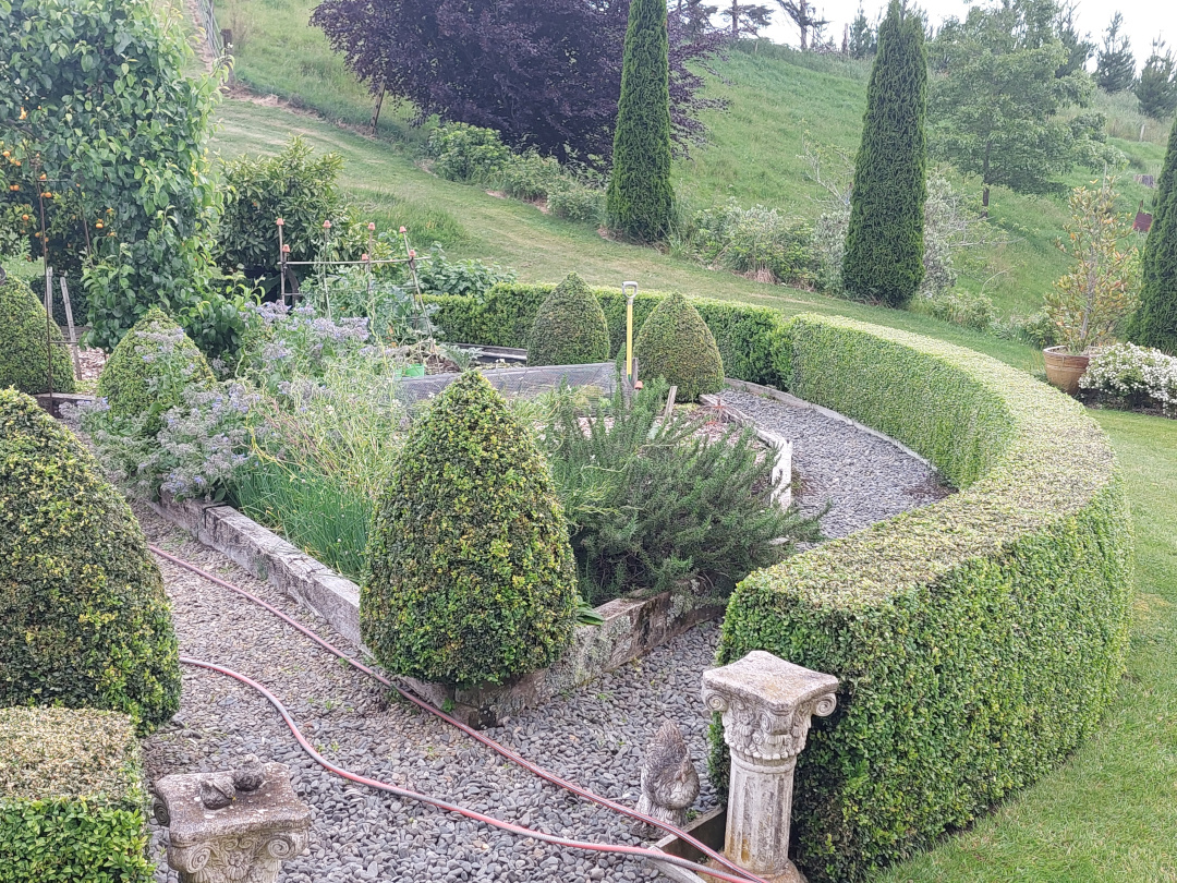 potager garden with formal hedging