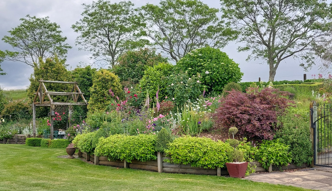 garden bed on a slope with lots of shrubs