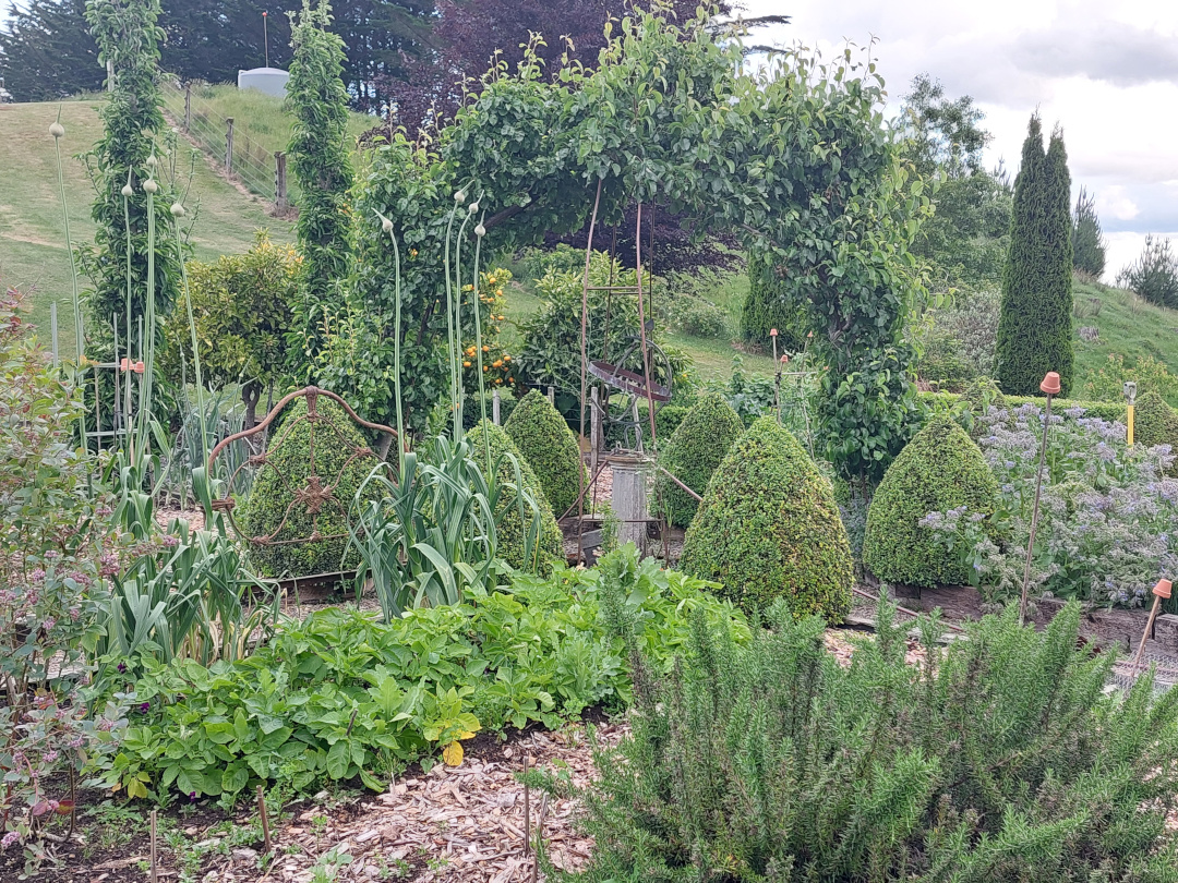 vegetable garden with shrubs