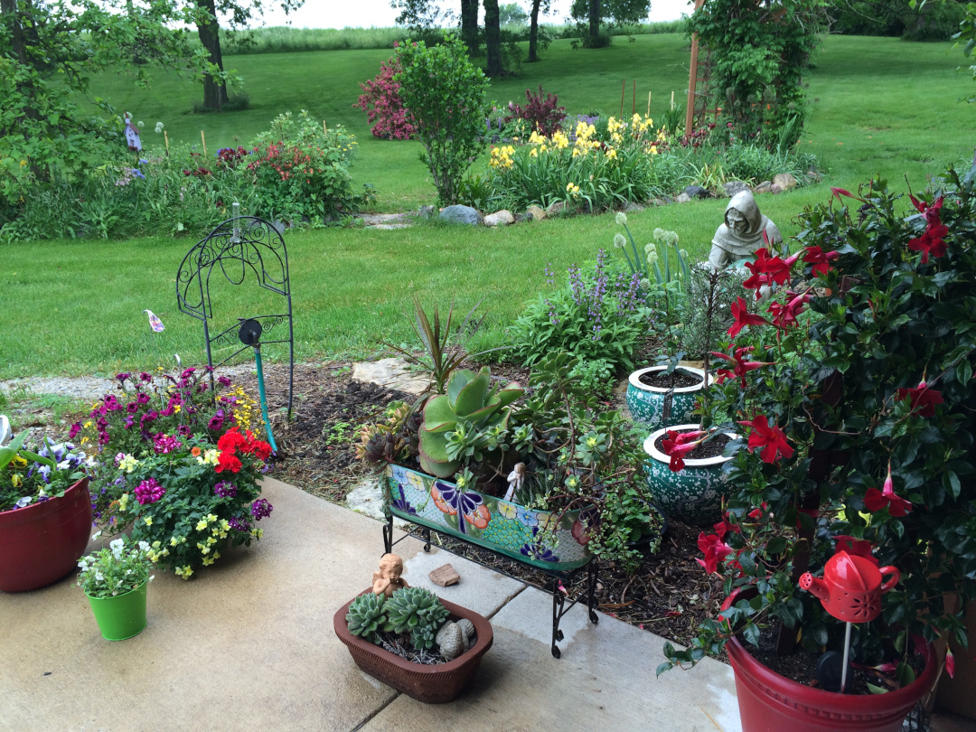 wide view of garden with lots of red foliage and flowers