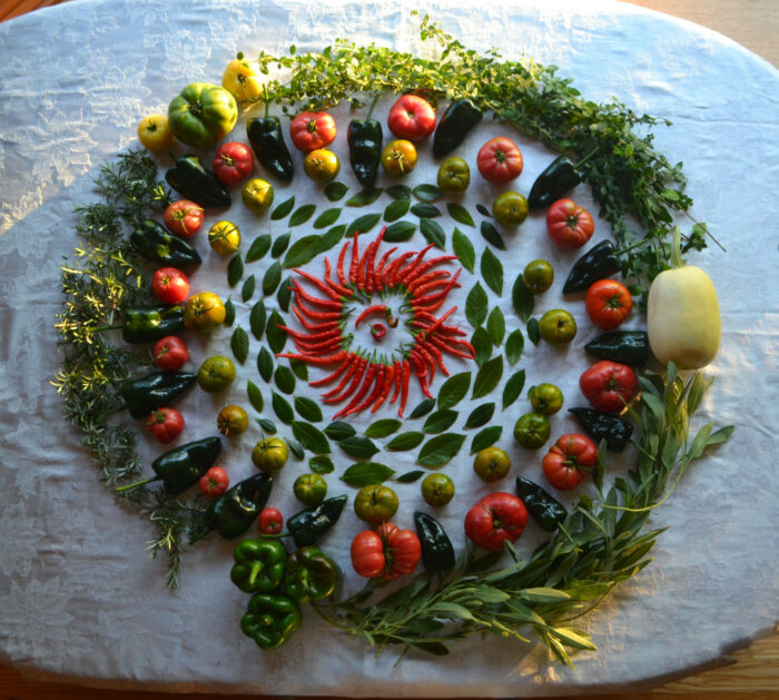 herbs and vegetables arranged into circle design