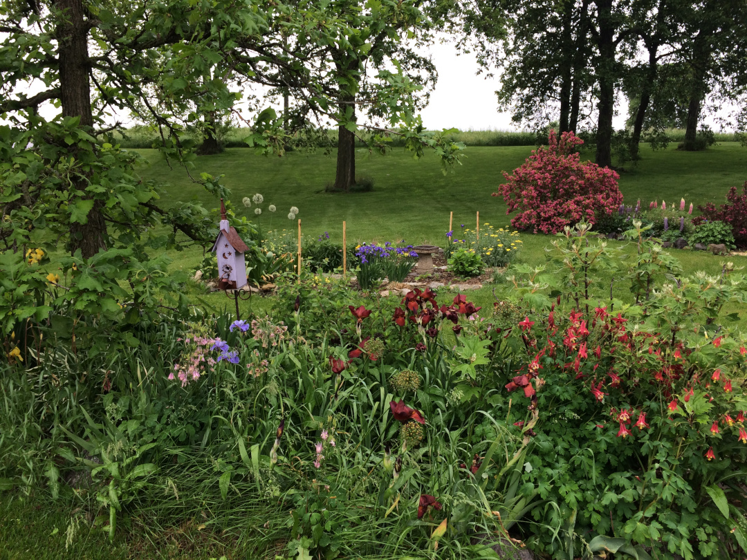 wide view of garden bed with lots of flowers