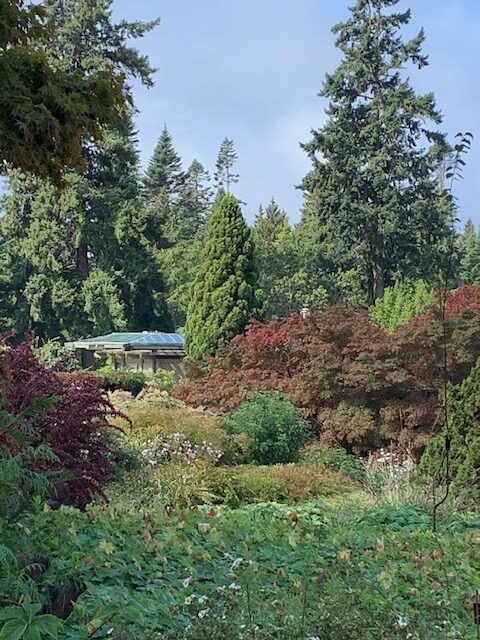 view of shrubs and trees in garden