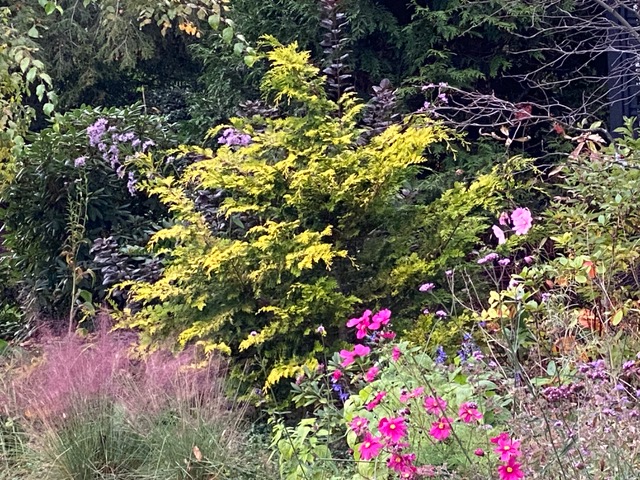 garden bed in fall with pink flowers and foliage