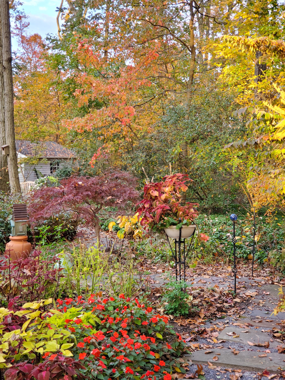 garden in fall with red flowers and colorful foliage