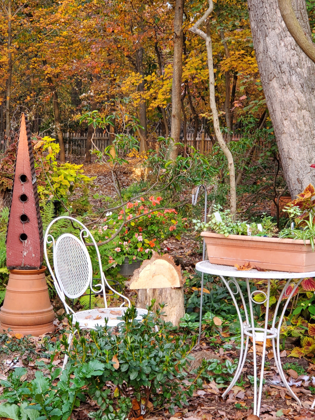 small seating area in the garden with container plantings