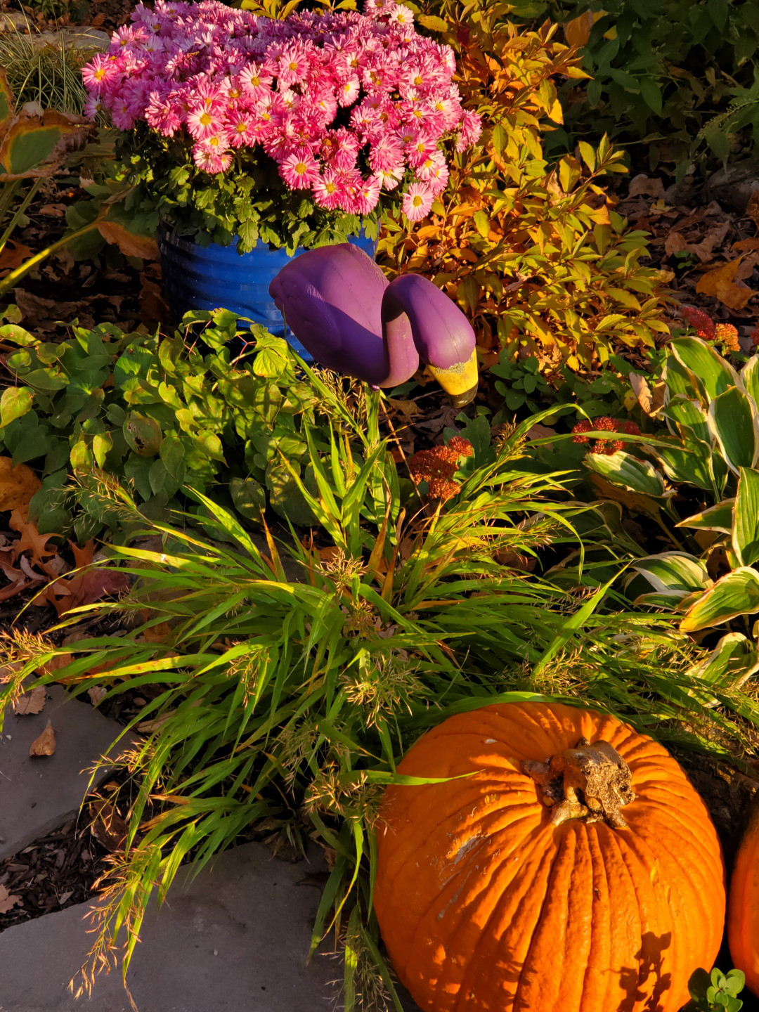 planter of pink mums next to perennials with fall foliage