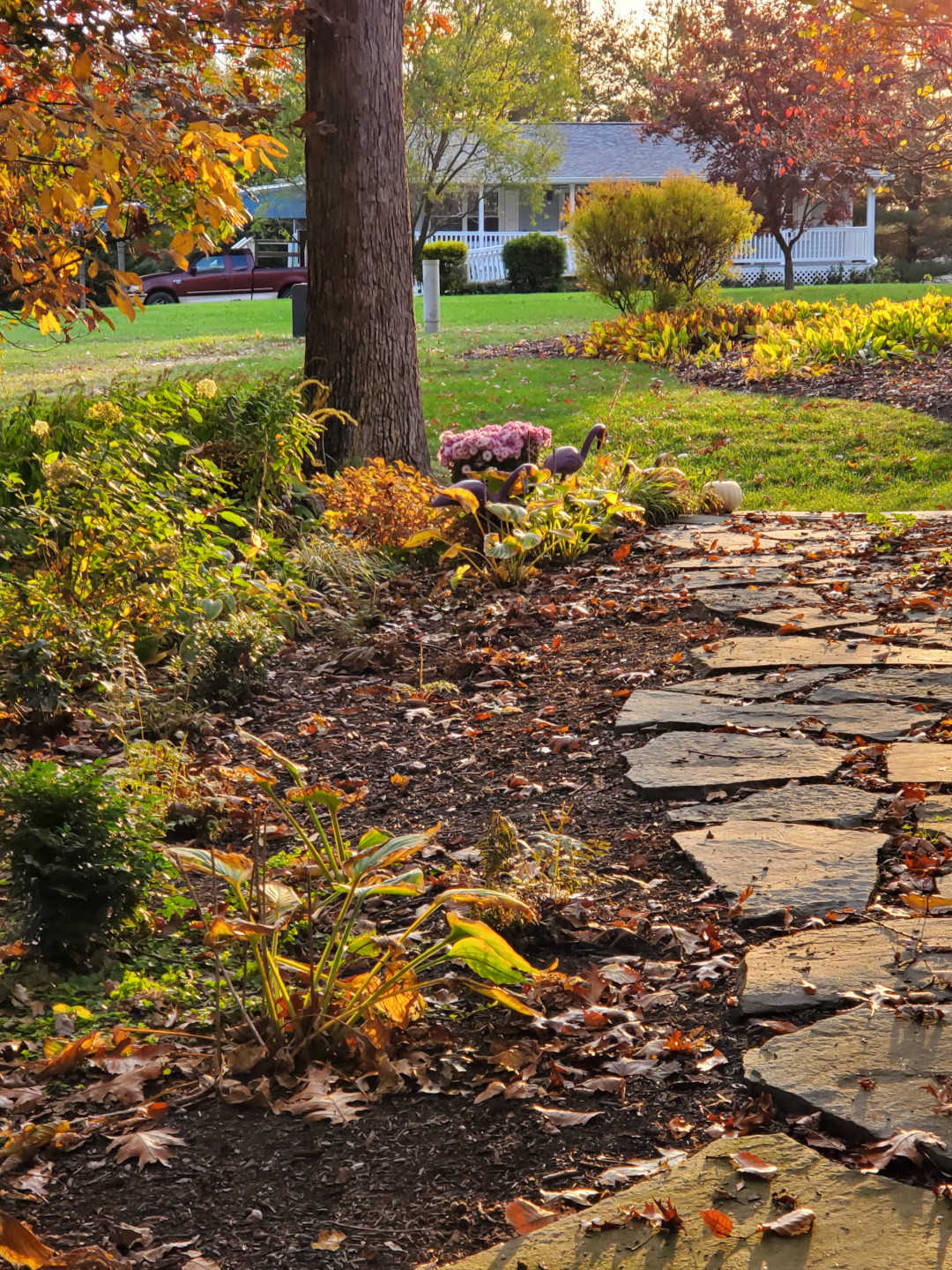 stone garden path surrounded by plants in fall