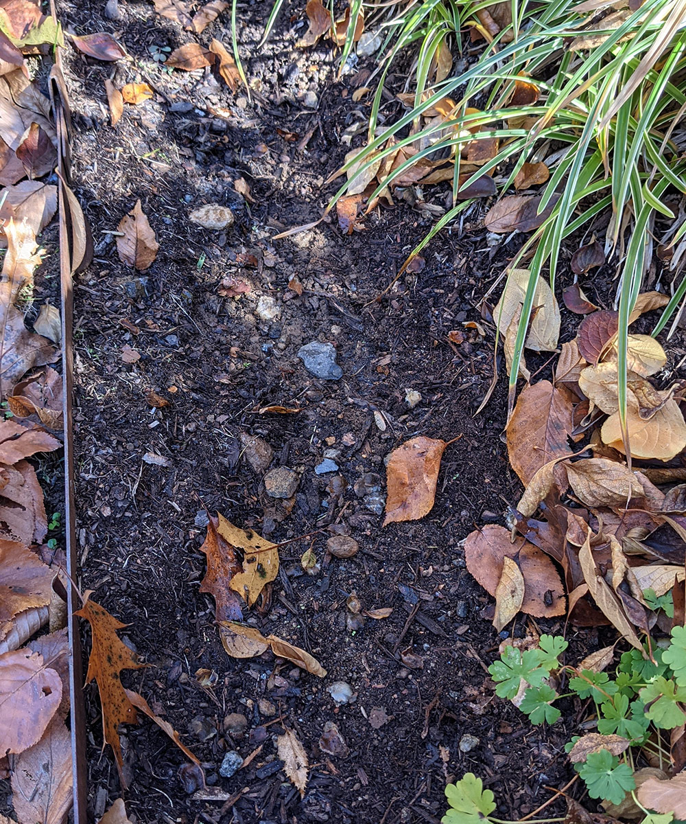 washout spot in the garden